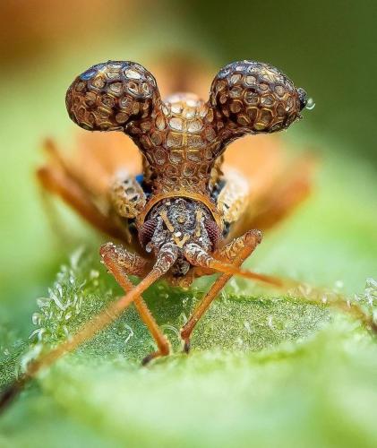 69ADFE6B-D6F7-4283-A841-4F0D7FF7442A