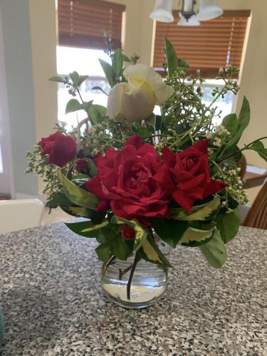 1E62A2AC-51E6-47DD-890A-6DD066DBDBB9