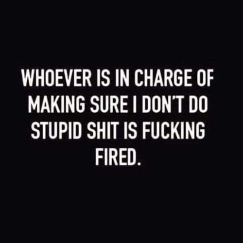 stupid shit is fired