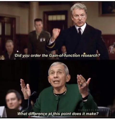 rand-paul-function-research-fauci-what-difference.jpg