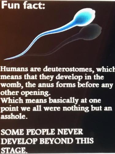 2AE60C80-DC3E-484E-8B68-2BBD7AA33770