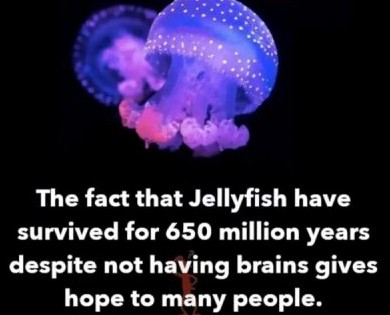 science-humor-memes-jokes-117-6245a3e68b0d7__700(1)