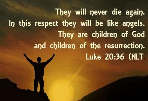 042422 - Luke 20-36