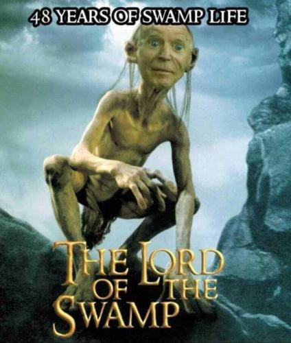 M swamp life