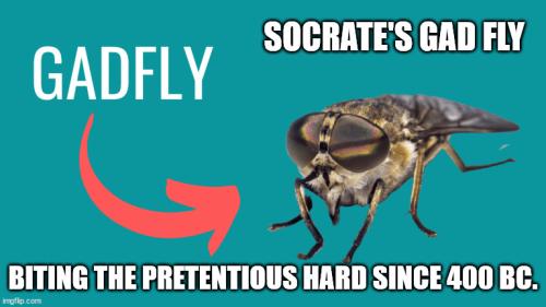 socrates-gadfly