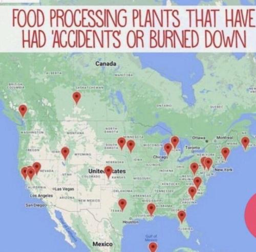 burned food plants