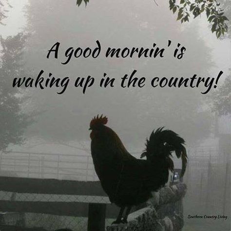 gmwakingcountry