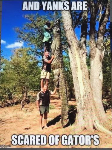 9AD03DEA-F502-4C46-9B86-229484547A8B