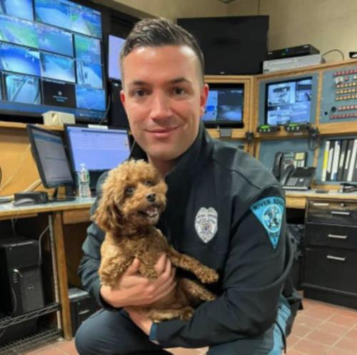 77021870-C690-4448-A24A-DEEA17E58911