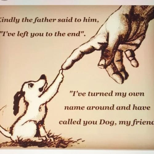 31B237E9-E5BE-42C9-AECA-5DE63459B9C5