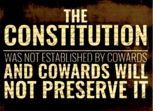 message-constitution-not-established-cowards-wont-preserve-it