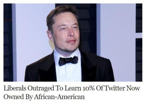 elon musk twitter