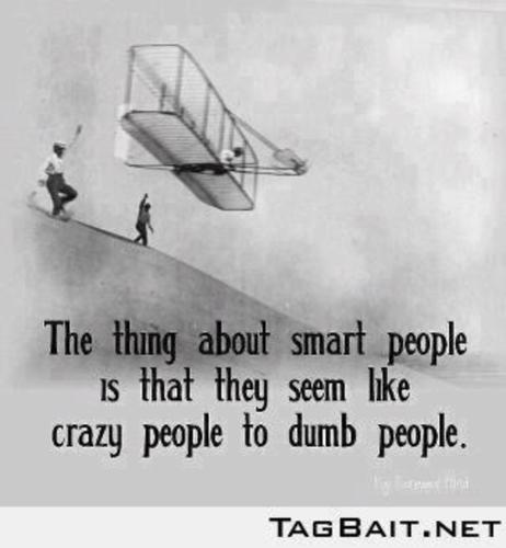 smart crazy dumb