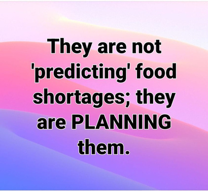 img - 2022-04-02T142440.689