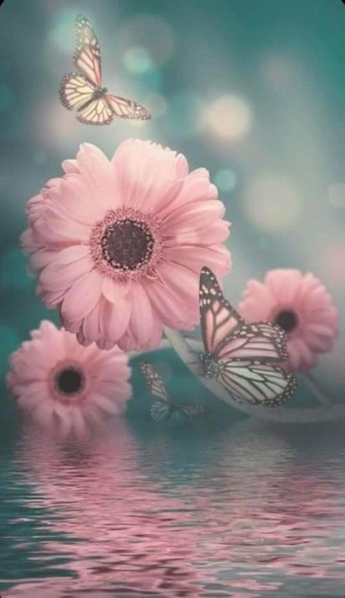 0939F2B4-513D-49C6-A9BA-FE801986B089