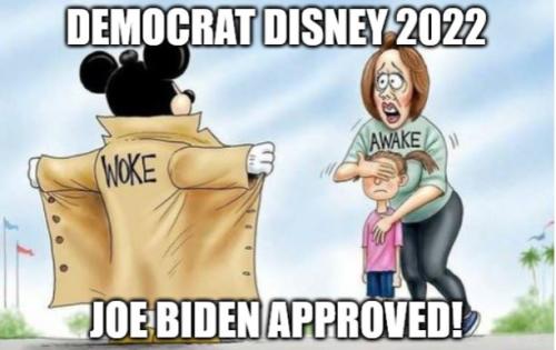 bidendisney2022mikeywcap