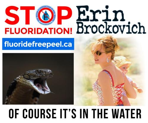 09cfe03c-4a9d-4257-a201-b5f5c9b01898