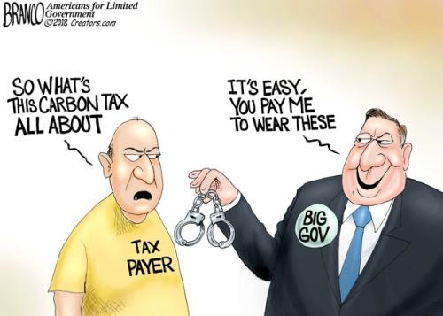Carbon Tax fake