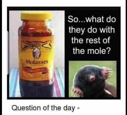 Screenshot_20220410-132123~2