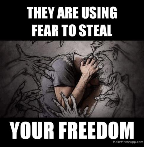 82210482-113D-46E6-888F-2F64D4D097FC