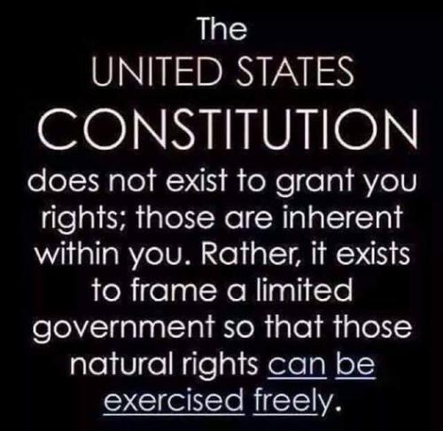 241345046_10214826595416817_5781137649288167185_n