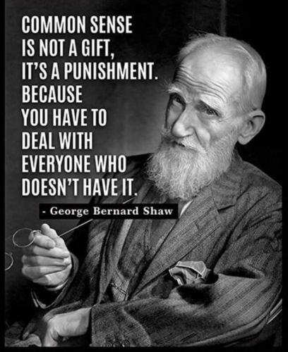 Common Sense