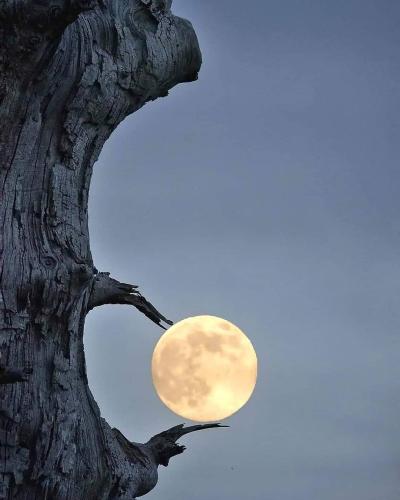 FB_IMG_1651098995707