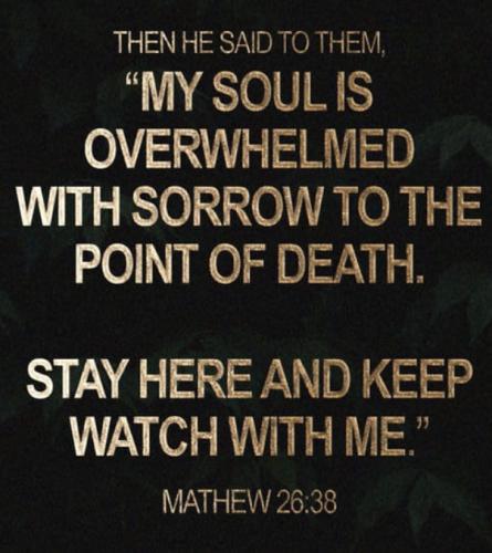 54c2b9f1-4f74-4520-9185-b3f295c77542