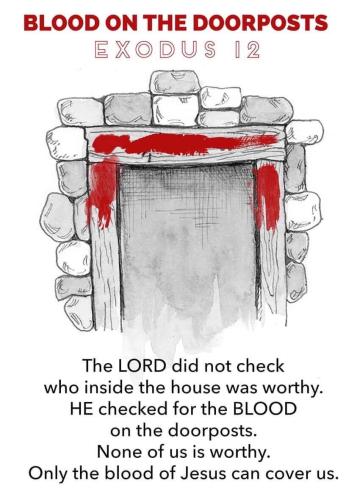 598e7557-1acf-41c9-9aa2-c62e901d1ba3