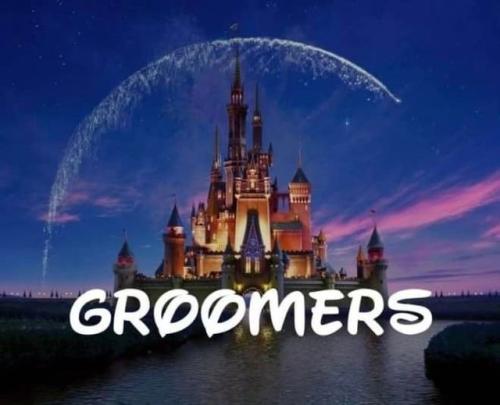 277772043_517389569744487_649966210913082038_n