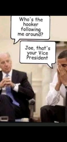 dc0bcd0b-9fed-4692-be5d-3b352b373c48