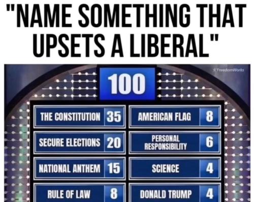 NameSomethingThatUpsetsLiberal