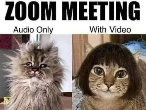 FB_IMG_1648658684748