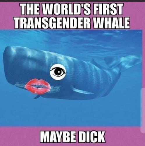maybe dick