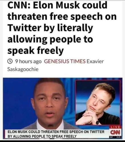 Media19