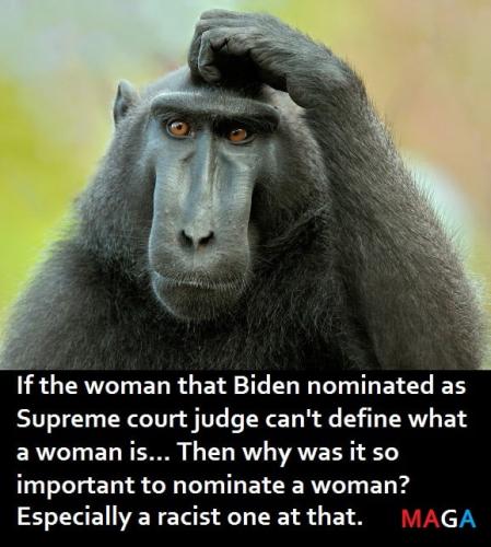 AA nominate