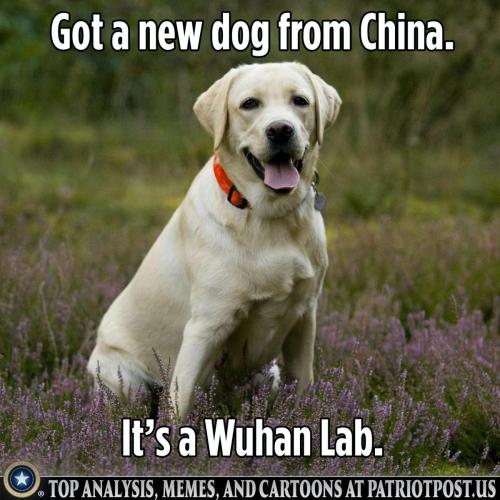 F65E2189-BF05-461C-A70C-19FF47CDC93C