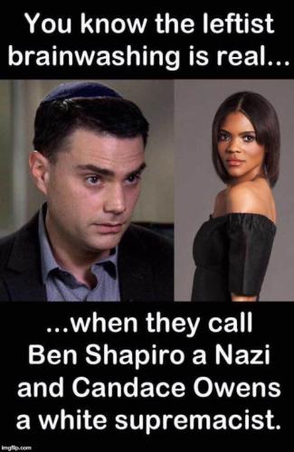 leftist brainwashing