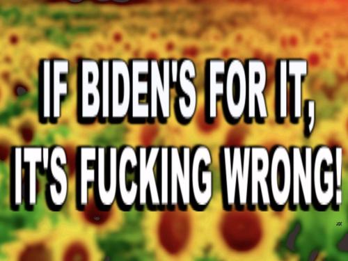 IF+BIDEN,+WRONG