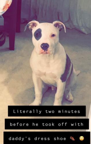 received_3214523558794376