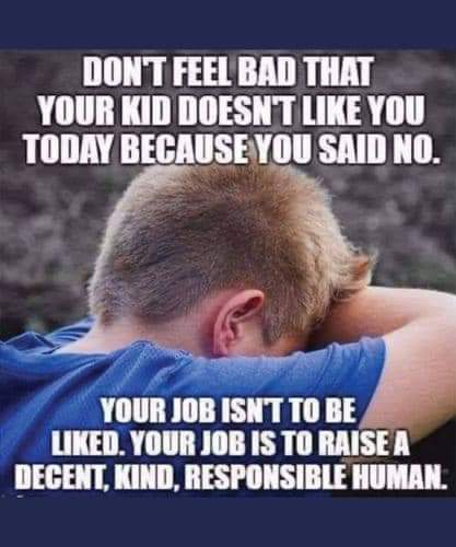 FB_IMG_1649694991339