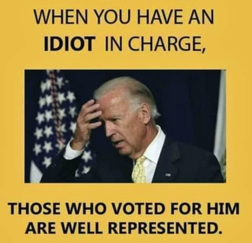 M idiot