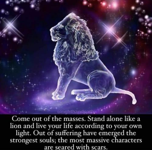 7990b6bf-d250-49f2-9baa-4f3584977e60