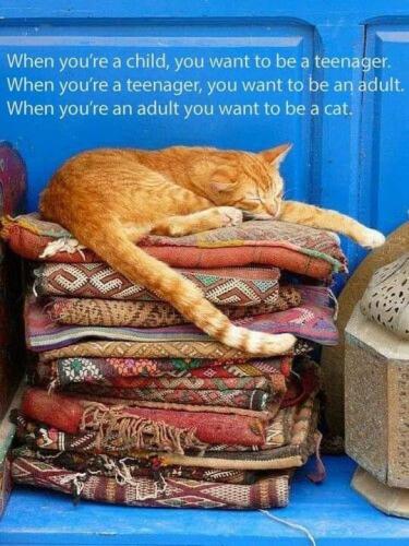 61c0d1bf-5b2f-48fc-b510-bb371c2b7c61