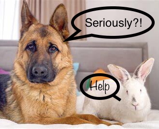 BD2789CB-0DA9-4E6E-8776-77D53911A5B4