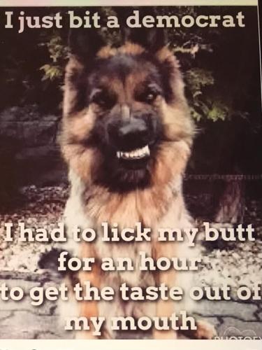 A37CFA4E-0E84-477C-980D-B147B9B3DB8F