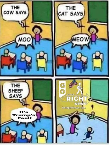 received_739320327060022