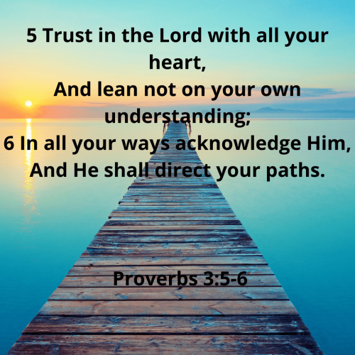 26FE6A5FC442E84F443AC8DD292701AC.bible88-min