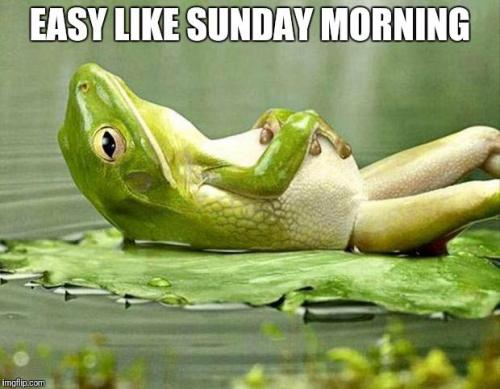 photo5127810181554612718