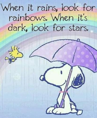 278006852_10166183297145072_7442239991446691335_n